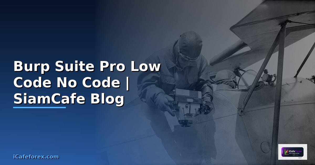 Burp Suite Pro Low Code No Code