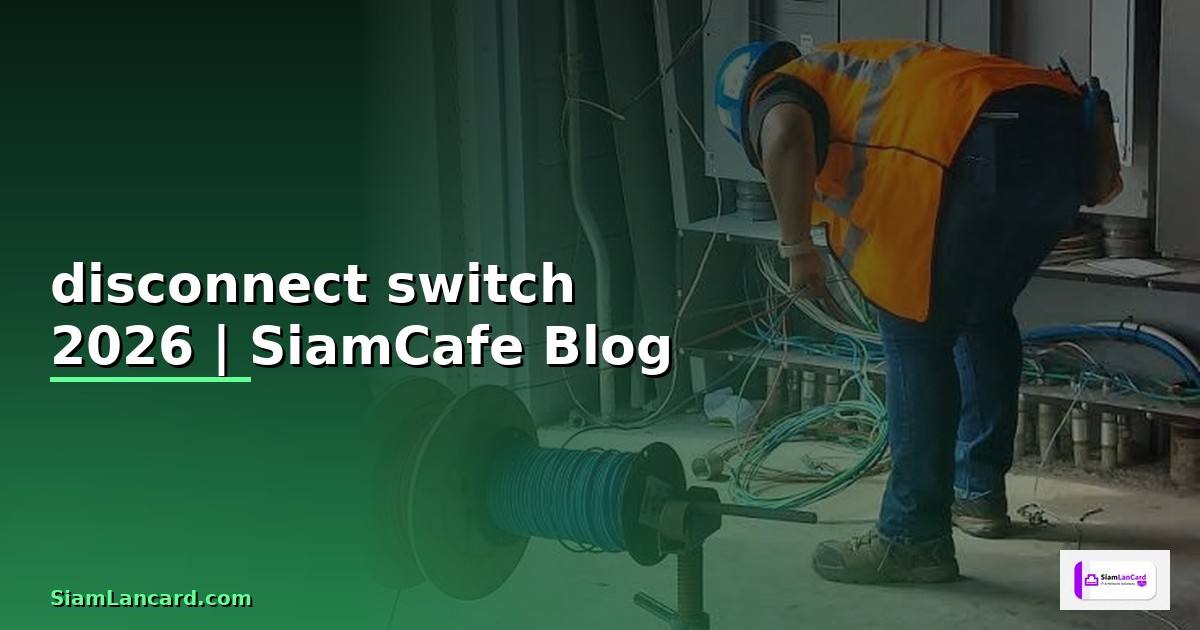 disconnect switch คือ