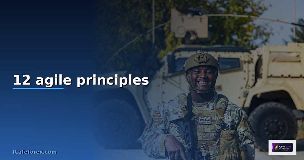 12 agile principles คือ —