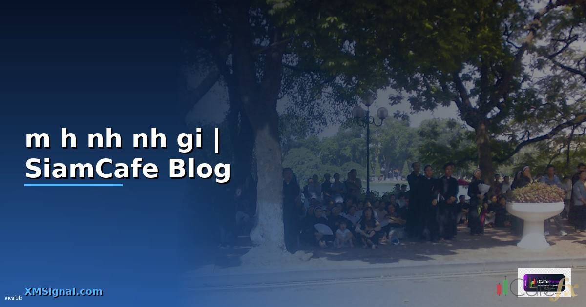 mô hình định giá — ข้อมูลครบถ้วน 2026
