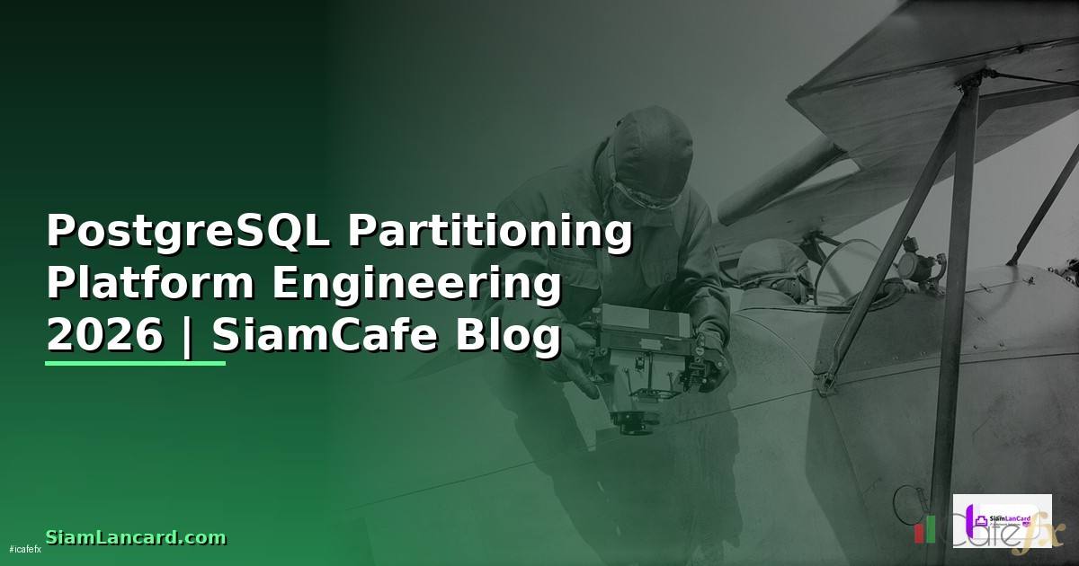 PostgreSQL Partitioning Platform Engineering