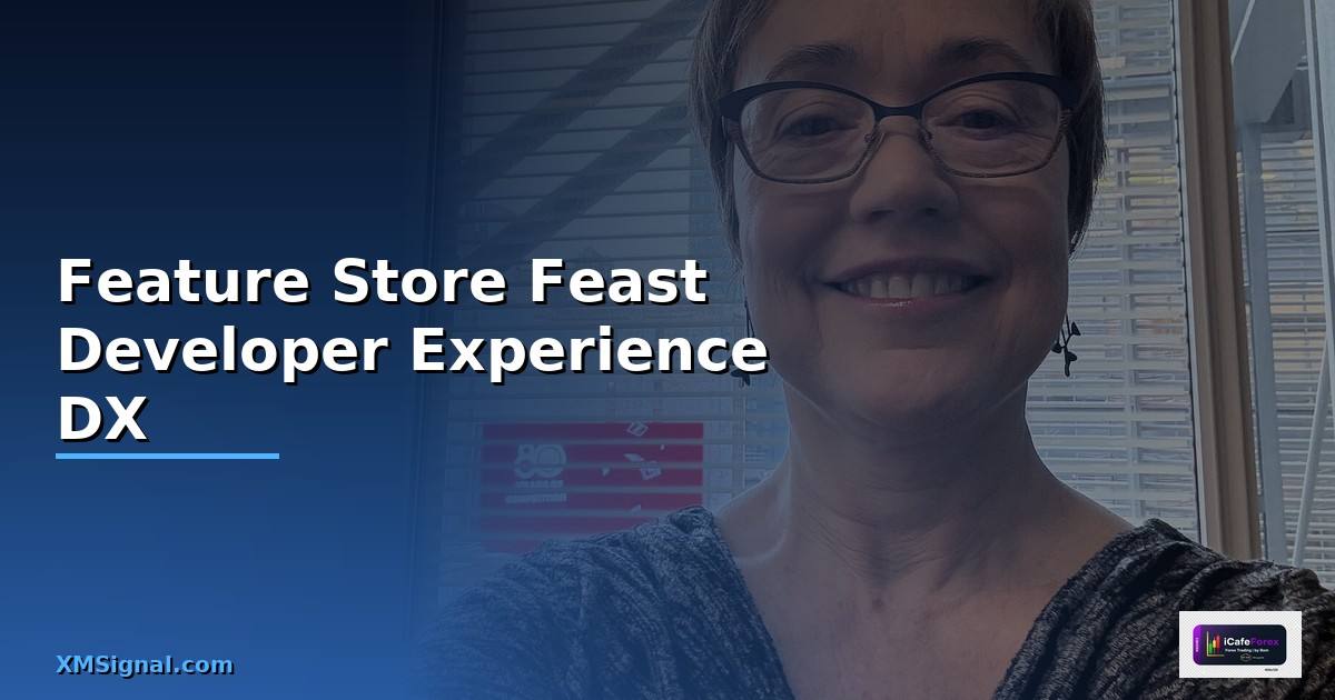 Feature Store Feast Developer Experience DX —