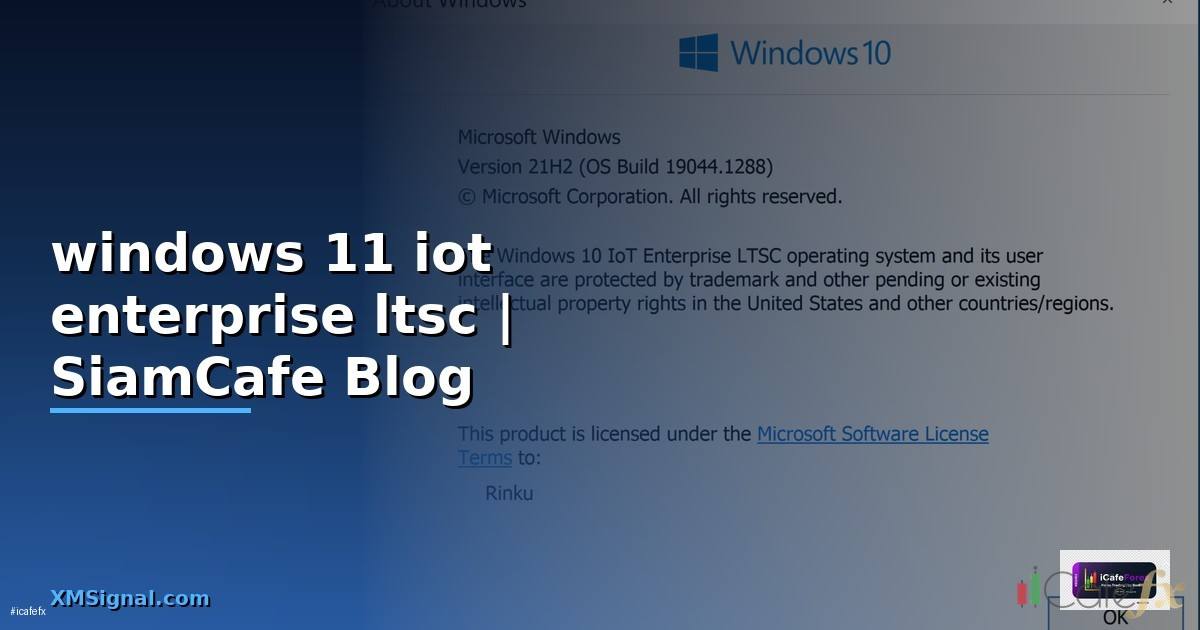 windows 11 iot enterprise ltsc คือ