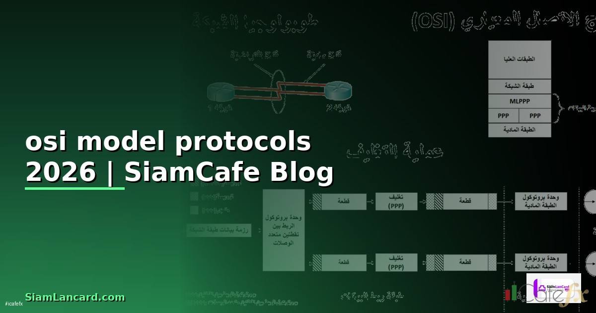 osi model protocols