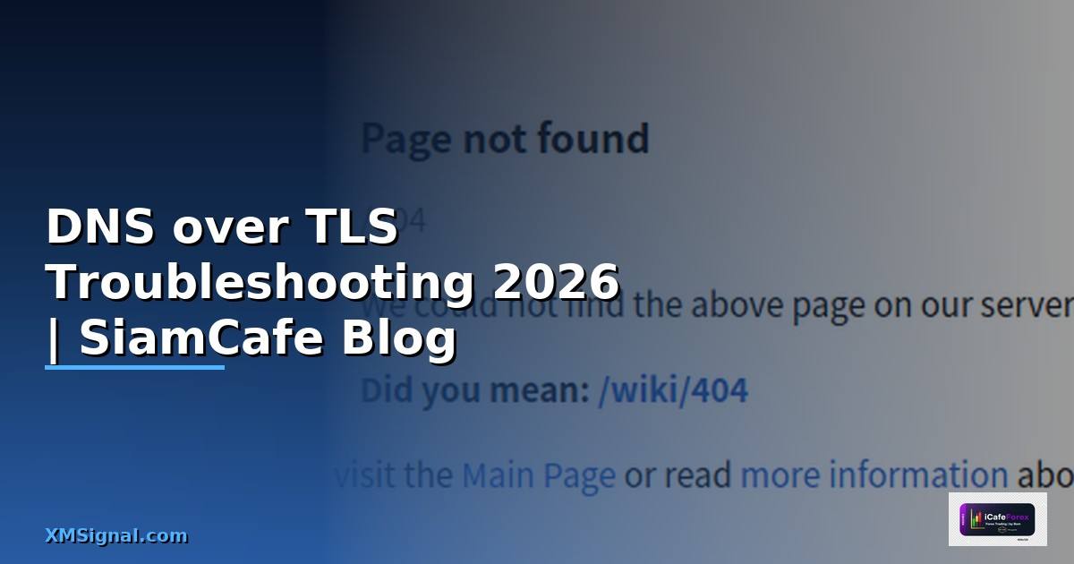 DNS over TLS Troubleshooting แก้ปัญหา
