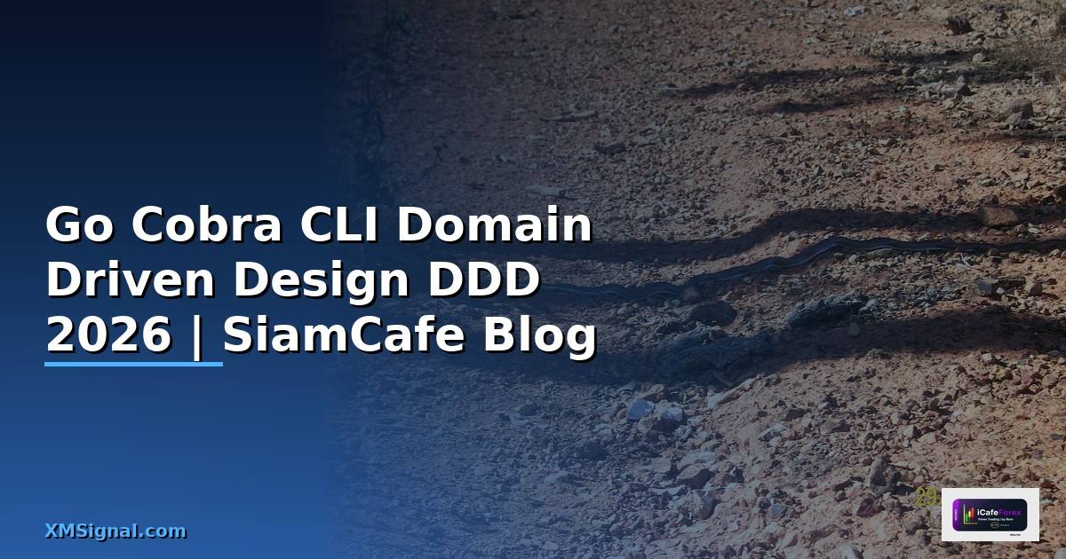 Go Cobra CLI Domain Driven Design DDD — คู่มือฉบับสมบูรณ์ 2026