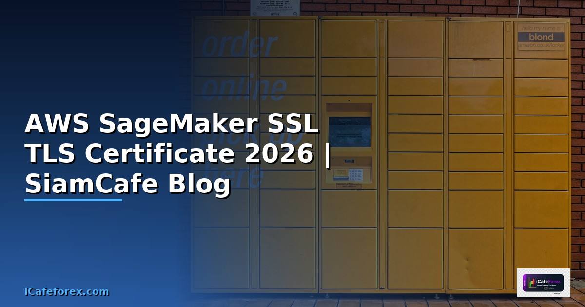 AWS SageMaker SSL TLS Certificate