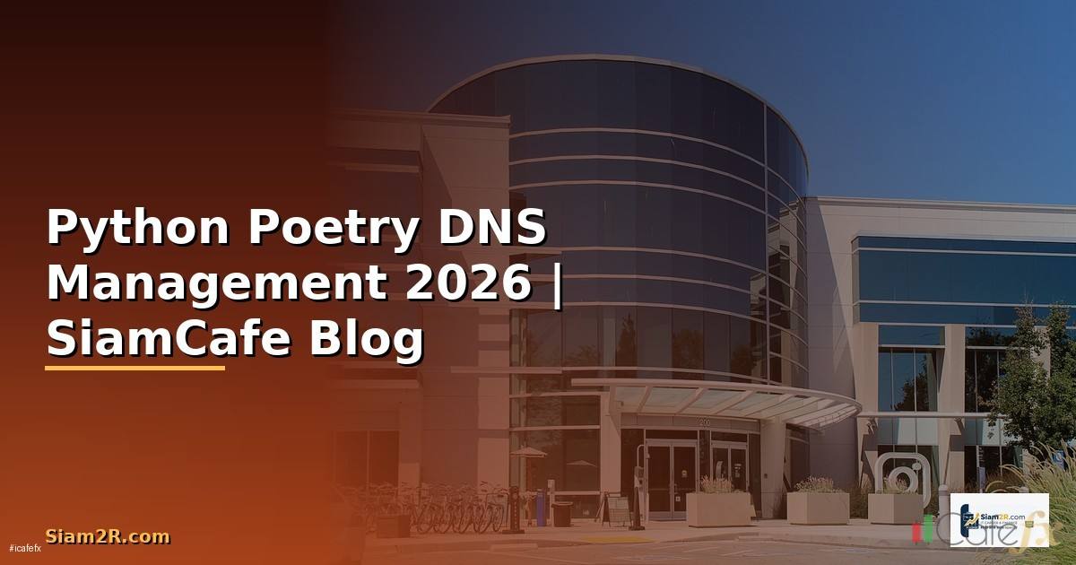 Python Poetry DNS Management