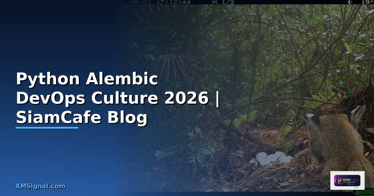 Python Alembic DevOps Culture