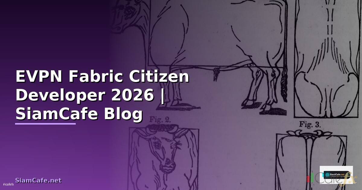 EVPN Fabric Citizen Developer
