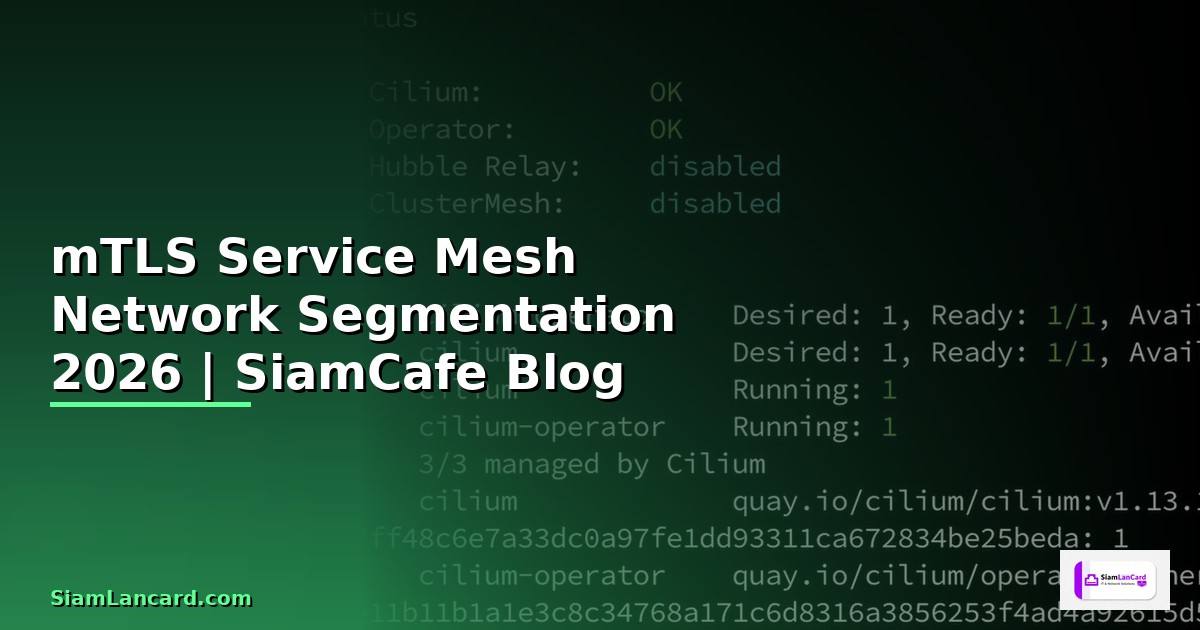 mTLS Service Mesh Network Segmentation