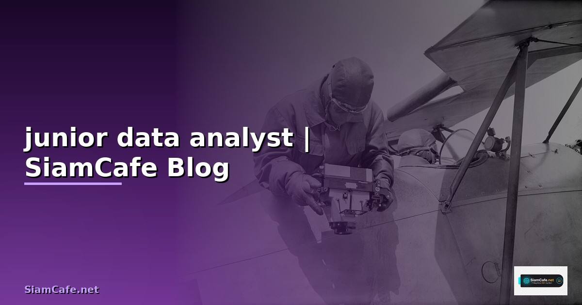 junior data analyst