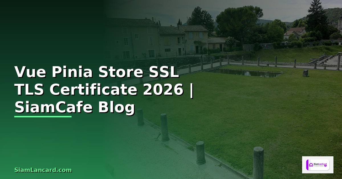 Vue Pinia Store SSL TLS Certificate