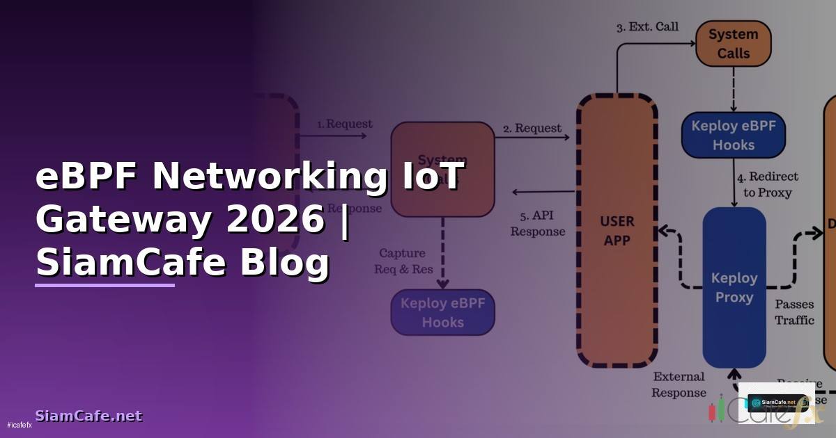 eBPF Networking IoT Gateway