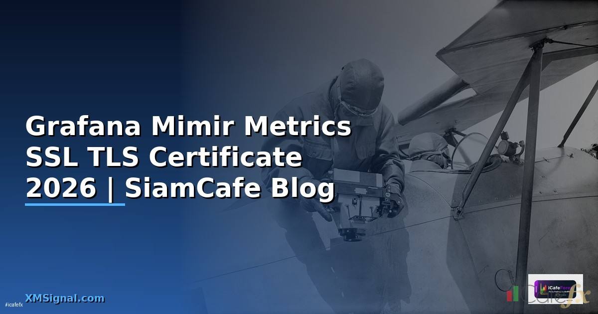Grafana Mimir Metrics SSL TLS Certificate