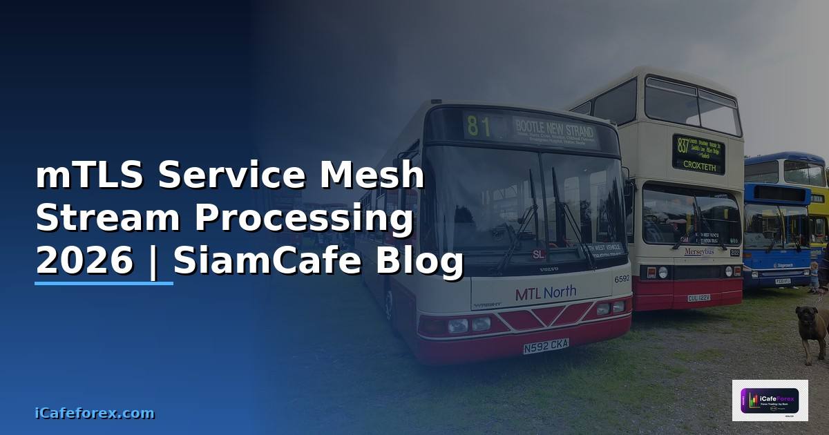 mTLS Service Mesh Stream Processing —