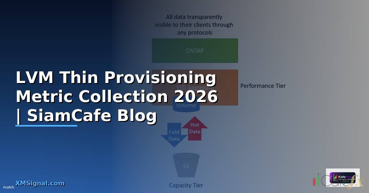 LVM Thin Provisioning Metric Collection