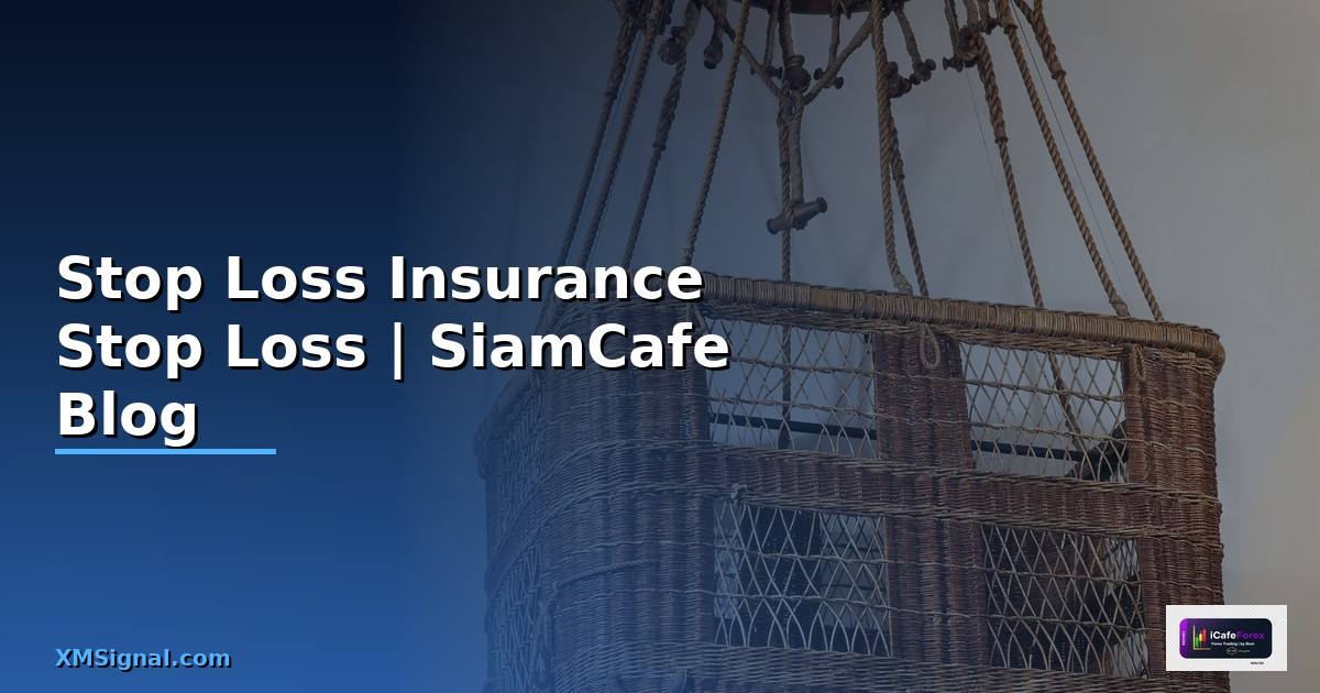 Stop Loss Insurance — ประกันภัย Stop Loss