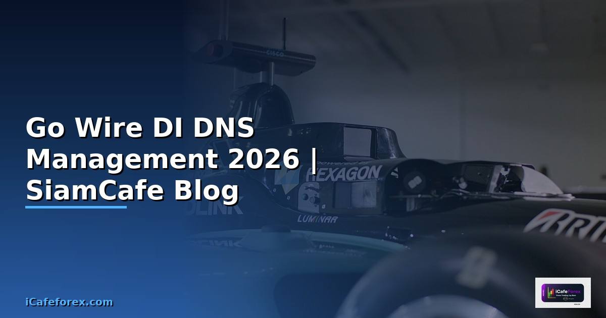 Go Wire DI DNS Management