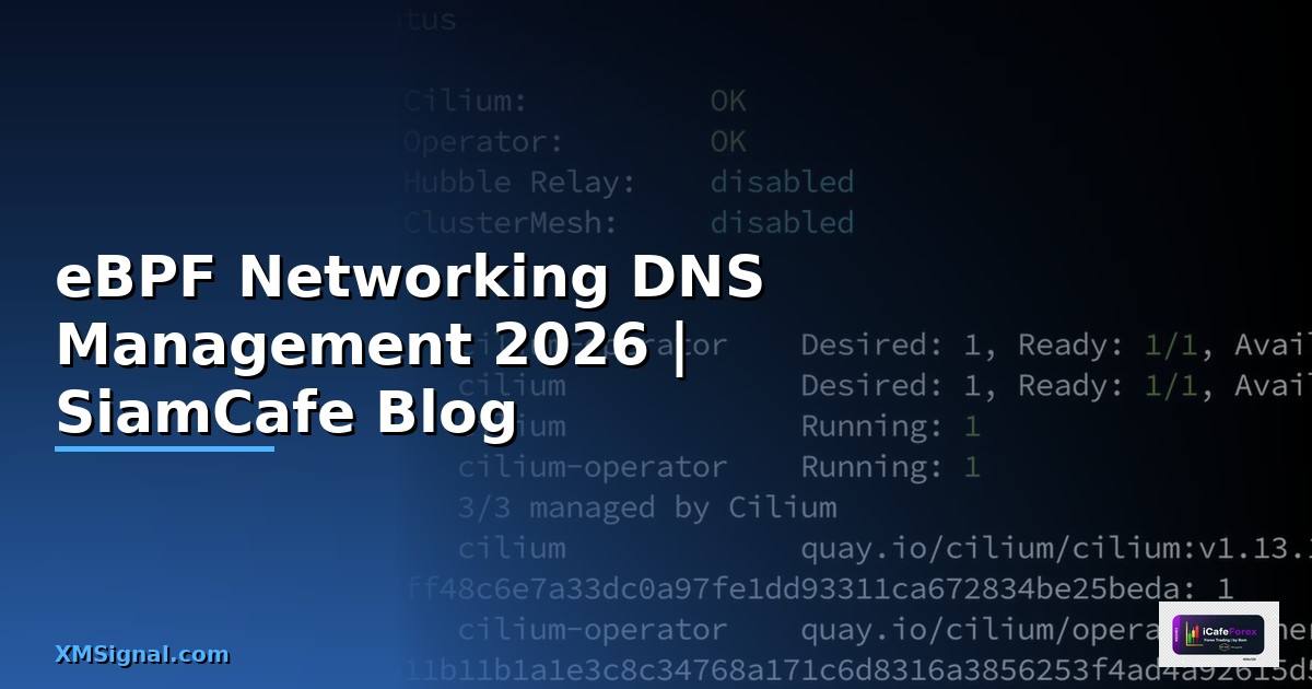 eBPF Networking DNS Management