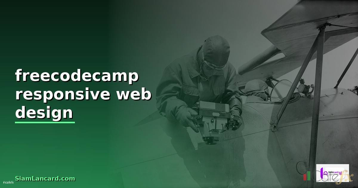 freecodecamp responsive web design — วิธีตั้งค่าและใช้งานจริงพร้อมตัวอย่าง