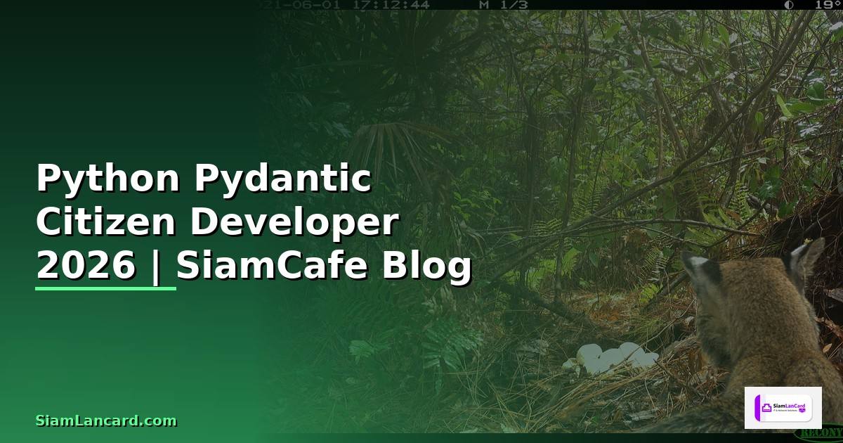 Python Pydantic Citizen Developer