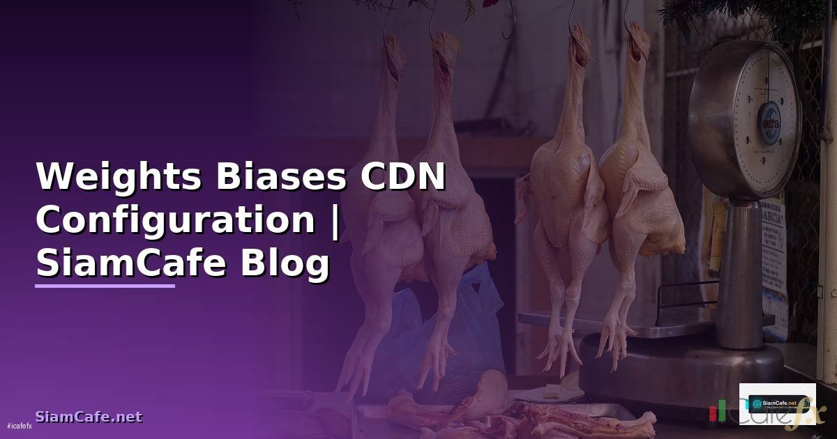 Weights Biases CDN Configuration