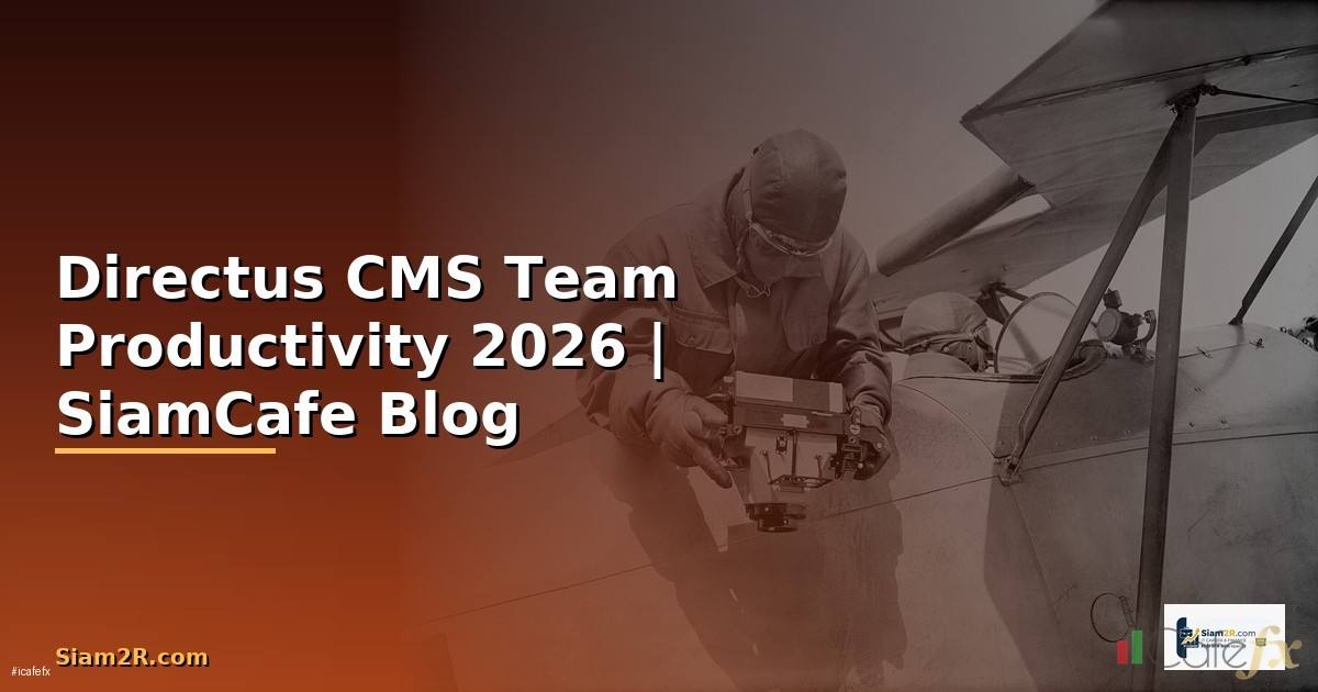 Directus CMS Team Productivity