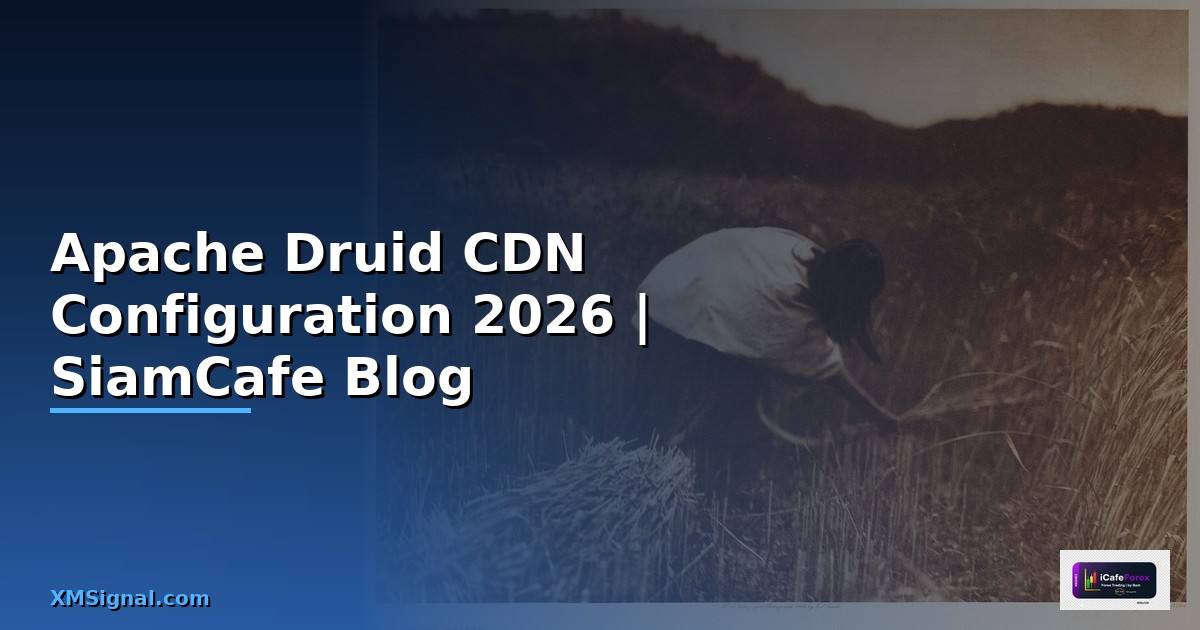 Apache Druid CDN Configuration