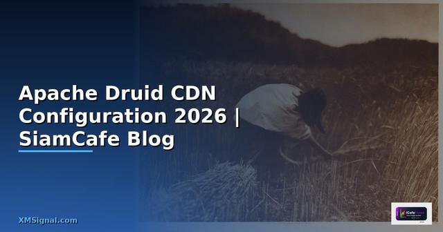 Apache Druid CDN Configuration