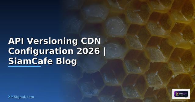 API Versioning CDN Configuration