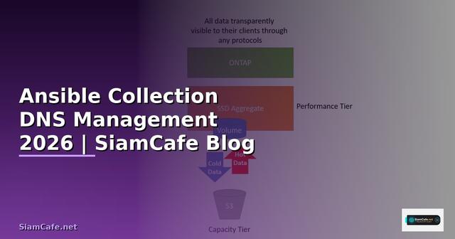 Ansible Collection DNS Management