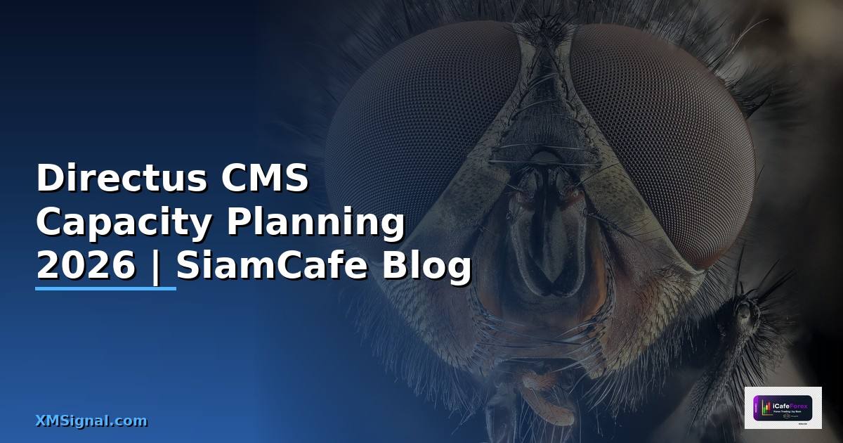 Directus CMS Capacity Planning — คู่มือฉบับสมบูรณ์ 2026