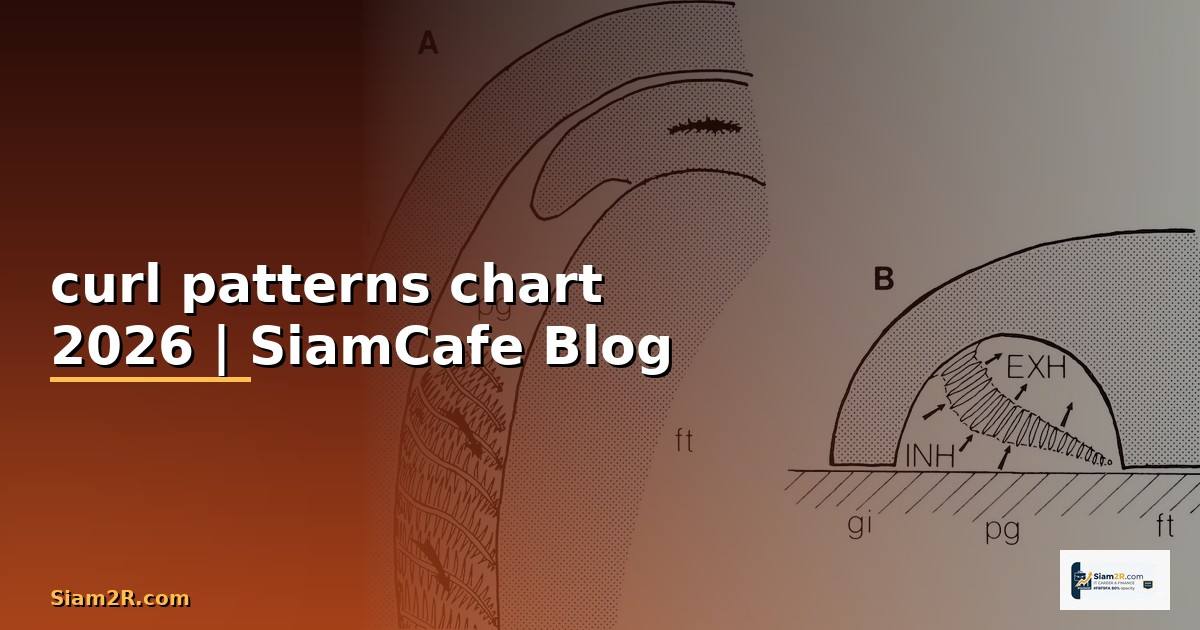curl patterns chart
