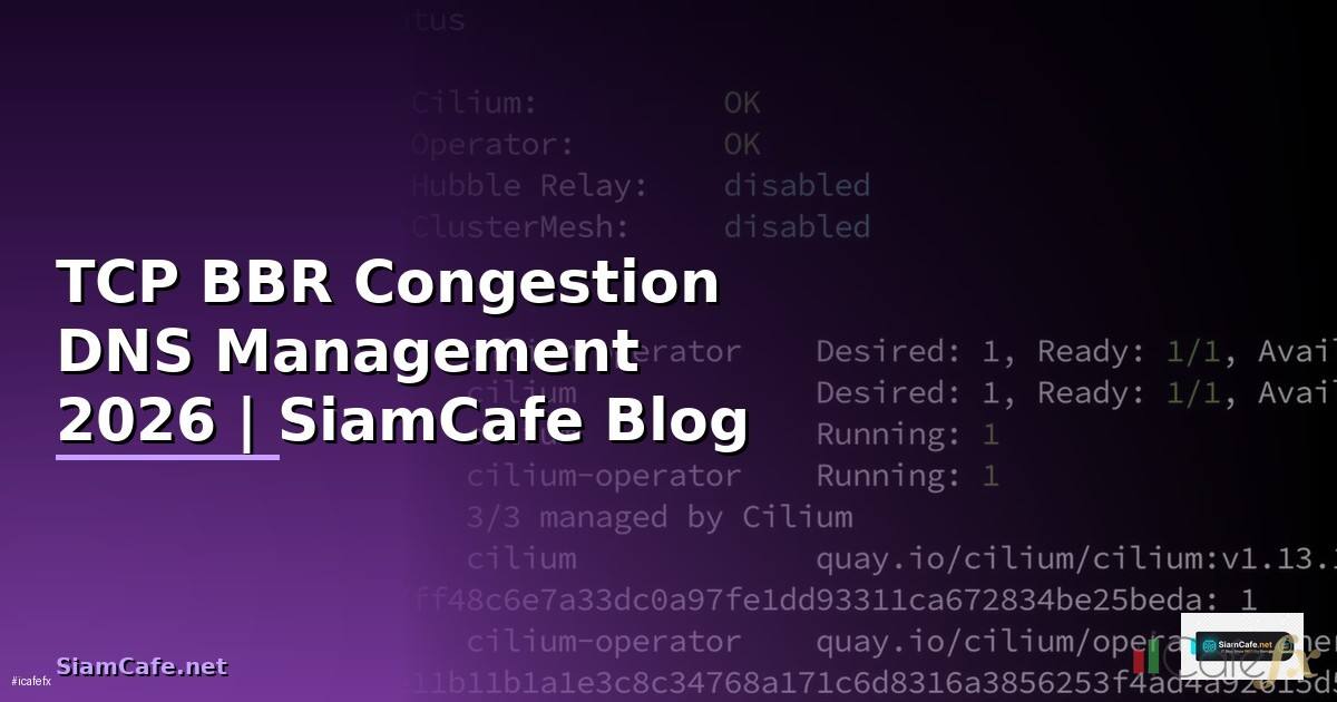TCP BBR Congestion DNS Management