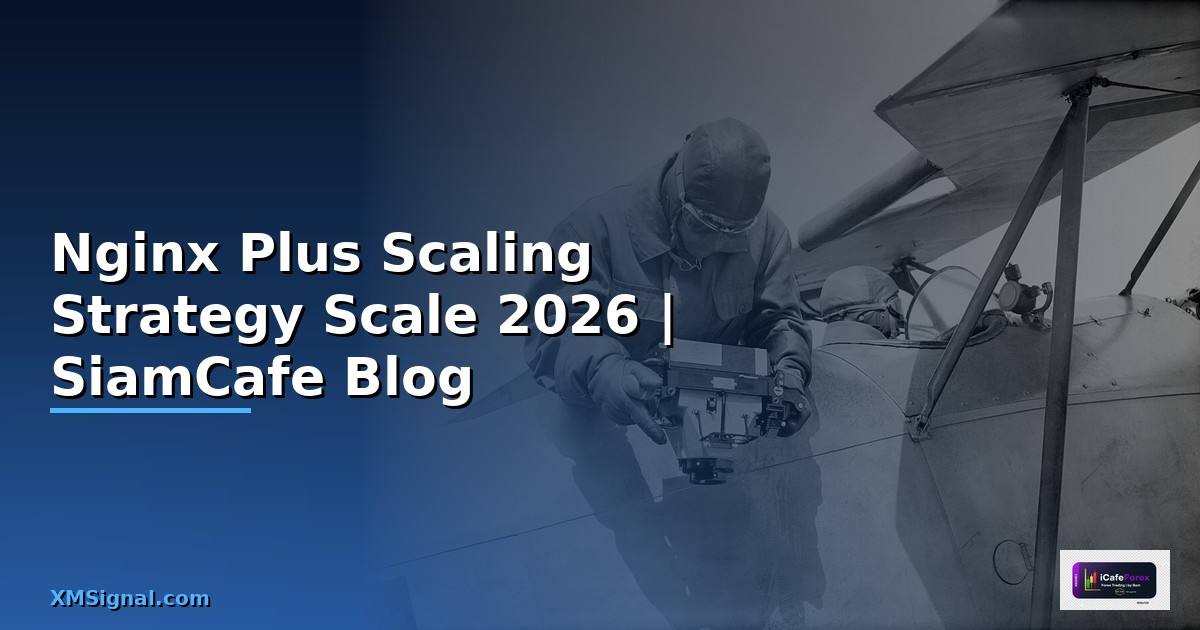 Nginx Plus Scaling Strategy วิธี Scale