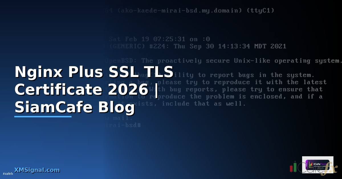 Nginx Plus SSL TLS Certificate