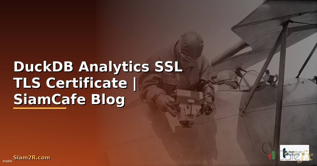 DuckDB Analytics SSL TLS Certificate