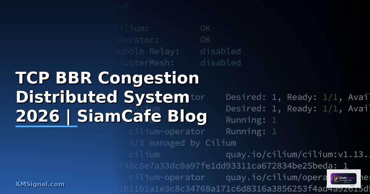 TCP BBR Congestion Distributed System
