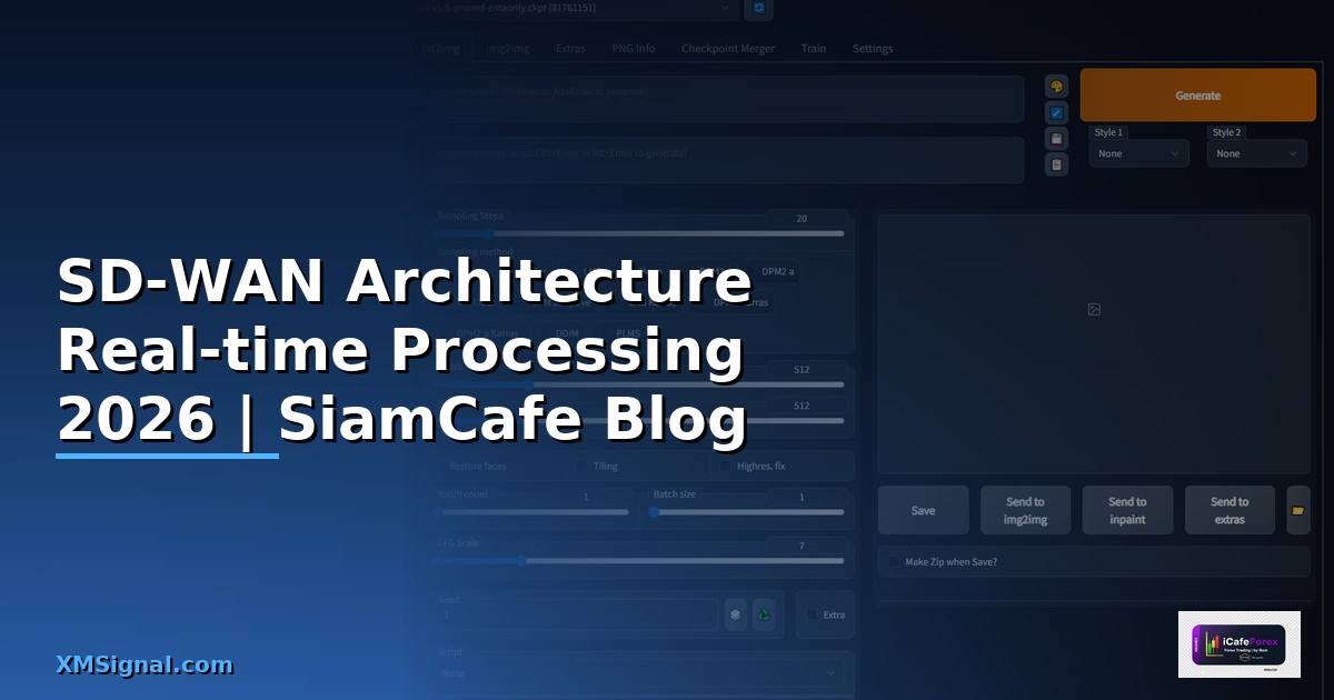 SD-WAN Architecture Real-time Processing