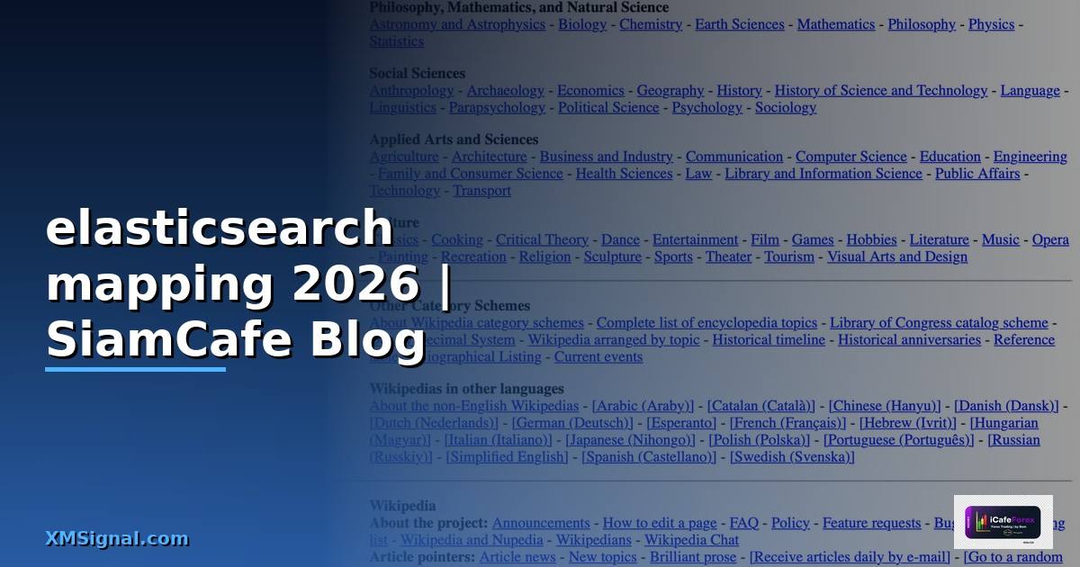 Elasticsearch Mapping