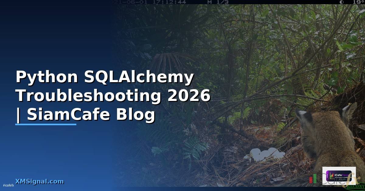 Python SQLAlchemy Troubleshooting แก้ปัญหา