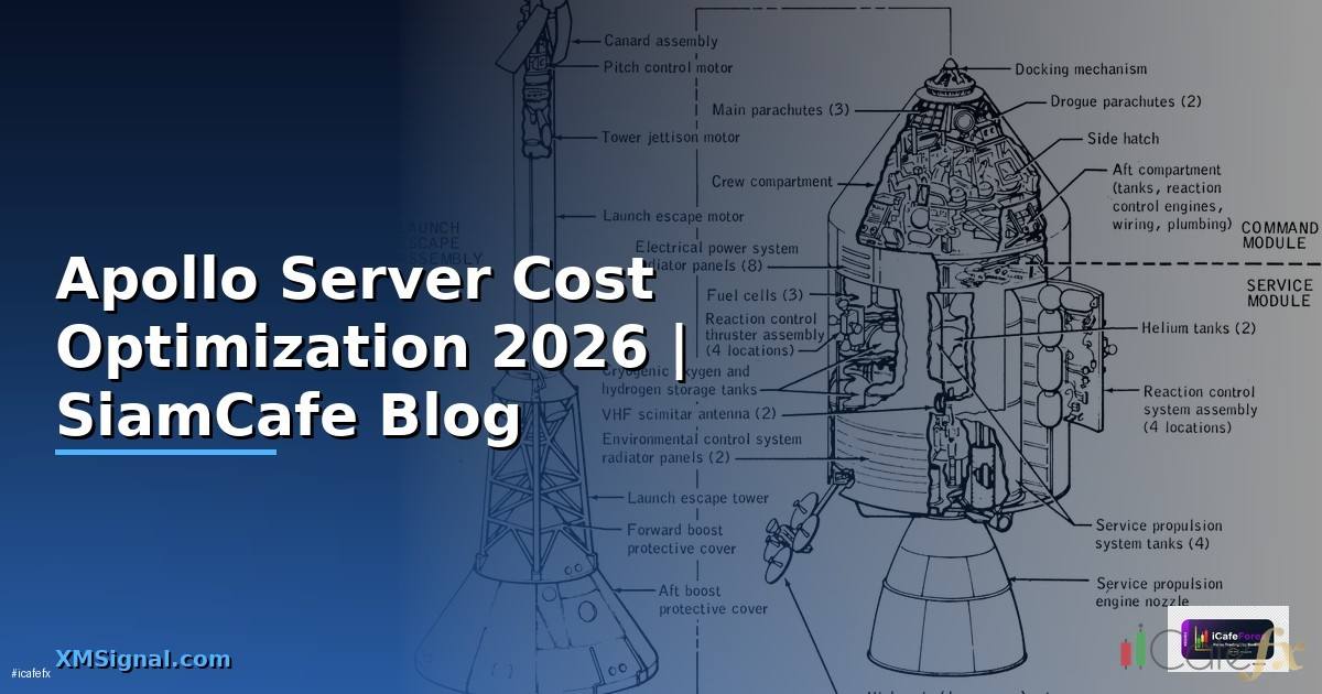 Apollo Server Cost Optimization ลดค่าใช้จ่าย