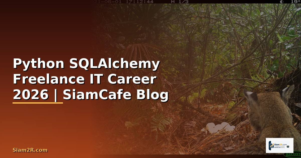 Python SQLAlchemy Freelance IT Career