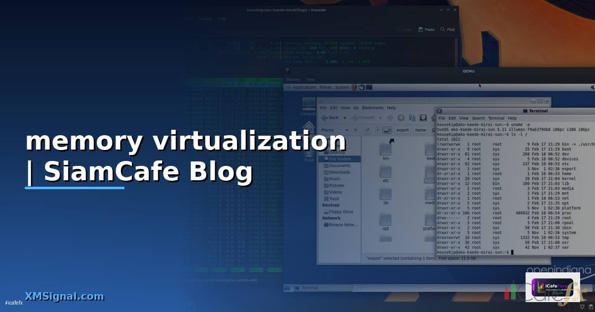 memory virtualization คือ