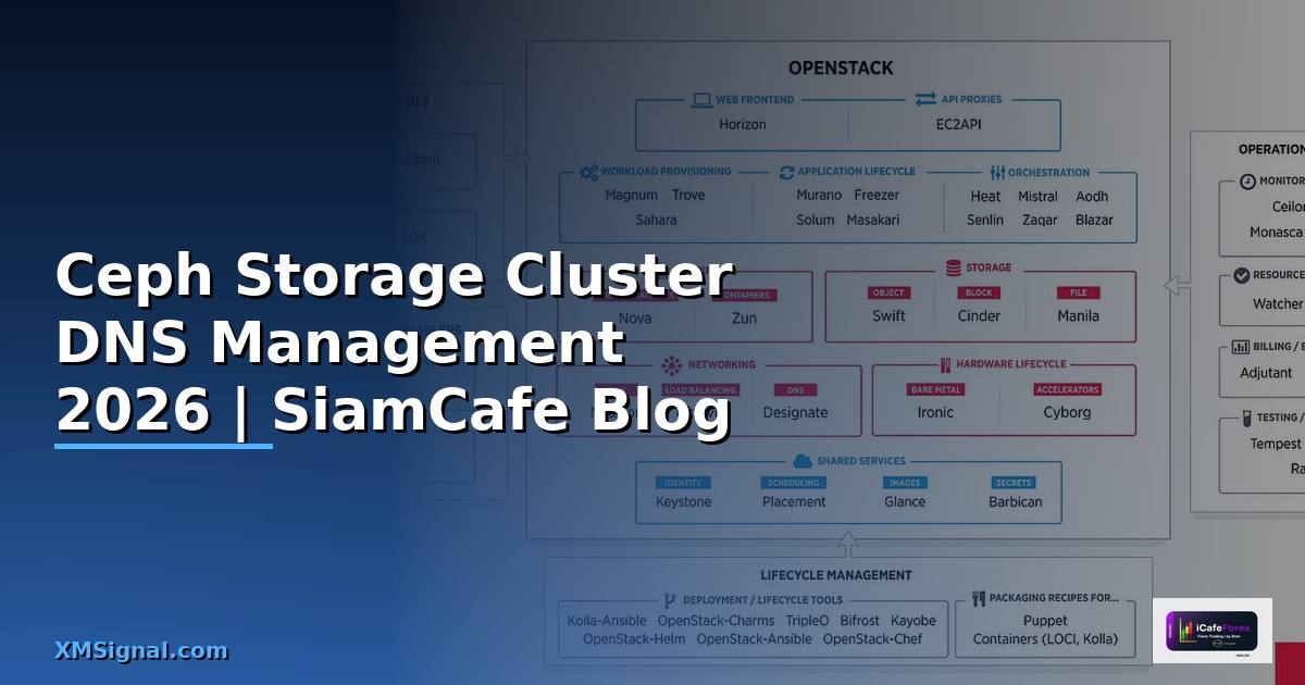 Ceph Storage Cluster DNS Management