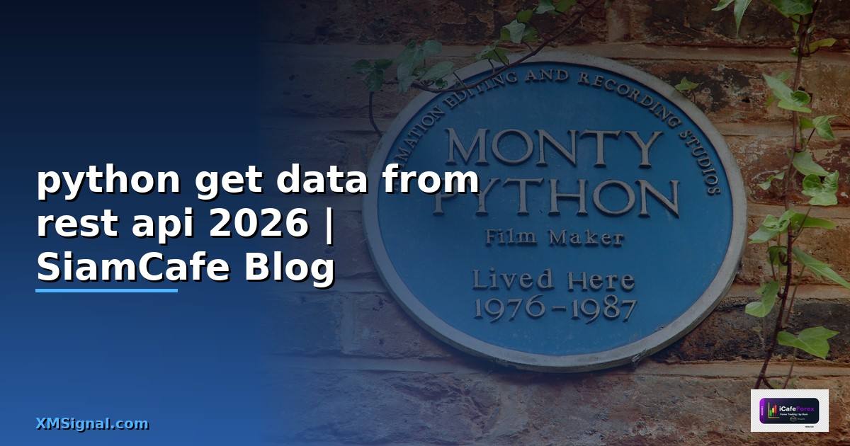 python get data from rest api — คู่มือฉบับสมบูรณ์ 2026