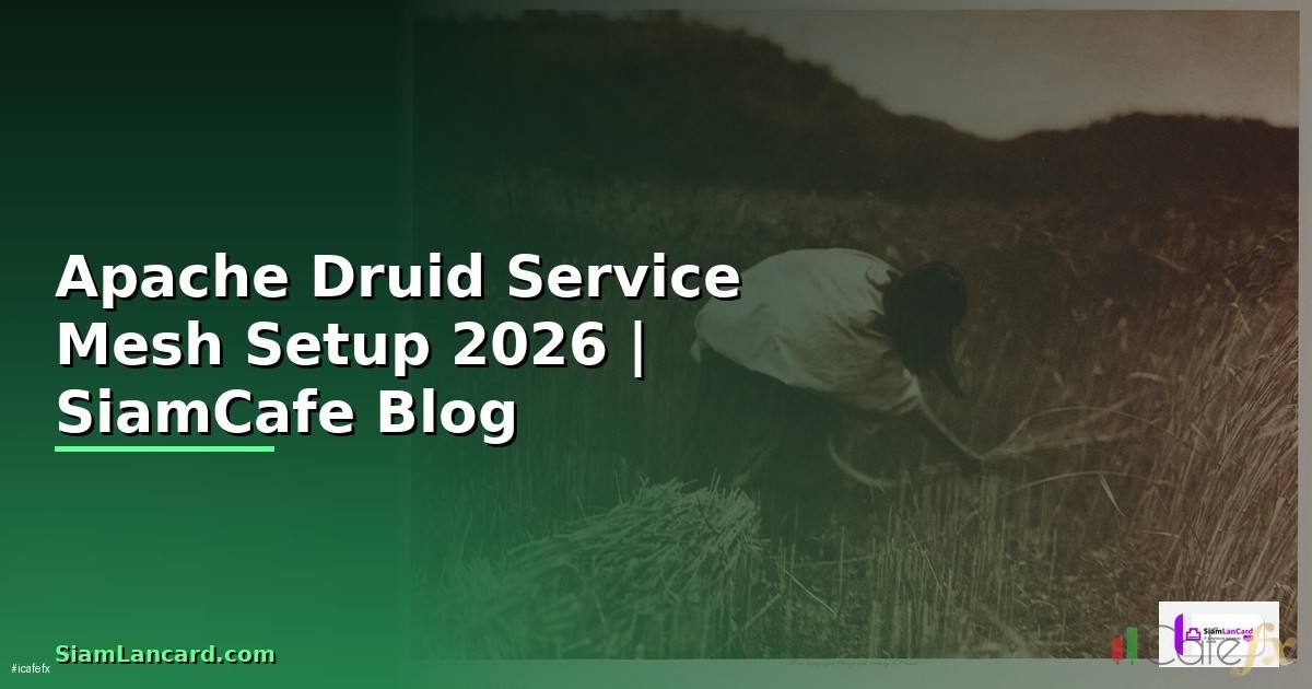 Apache Druid Service Mesh Setup
