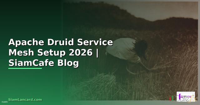 Apache Druid Service Mesh Setup