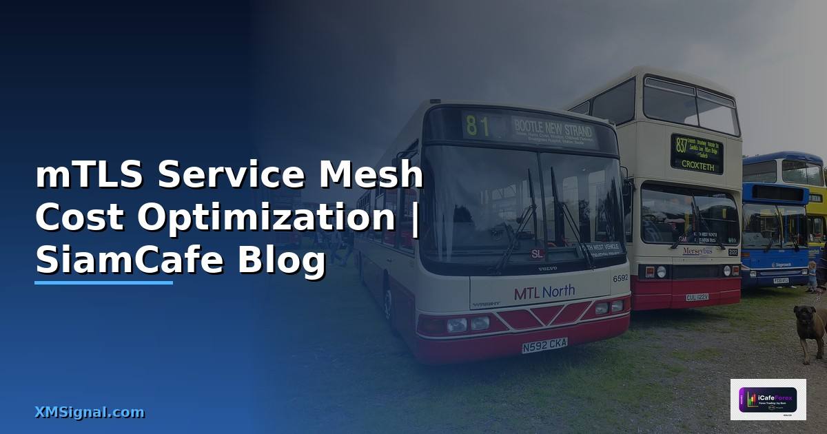mTLS Service Mesh Cost Optimization ลดค่าใช้จ่าย